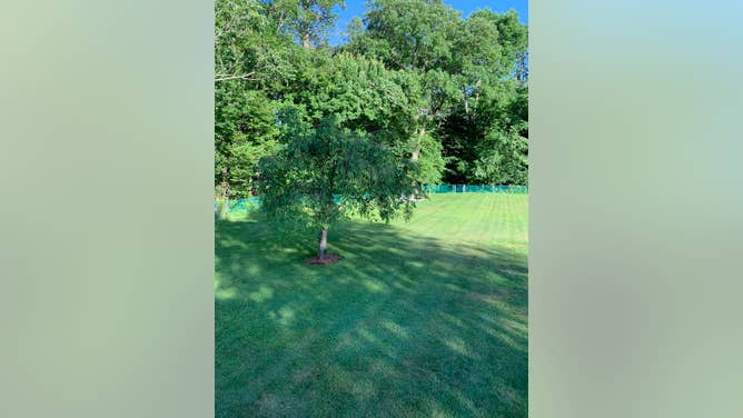 ffcef56b-