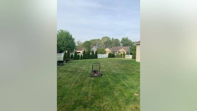 3a1b376c-