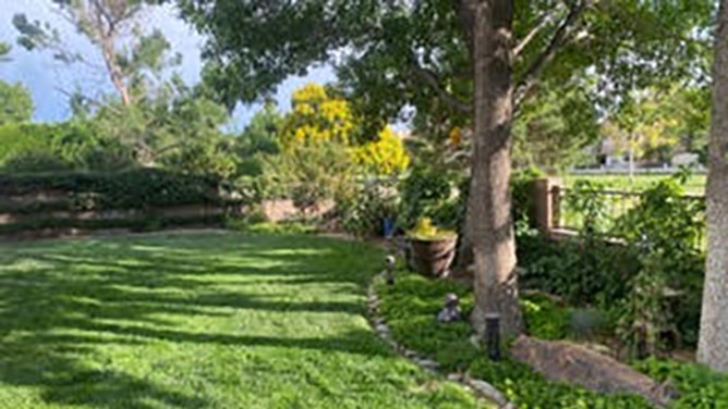 95e56735-