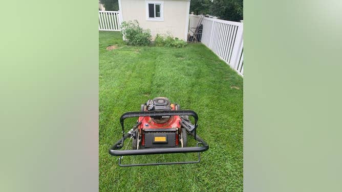 ef4e6908-