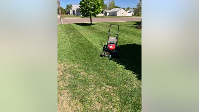 dc3850ce-