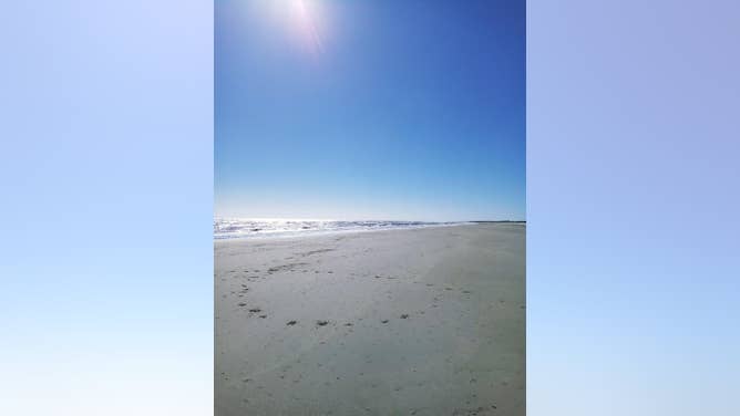 3b1f1790-