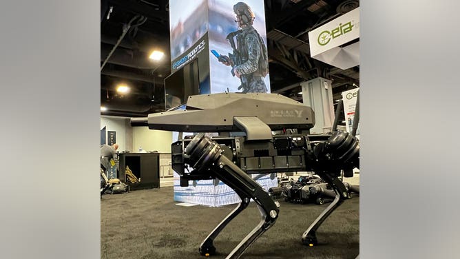 Sniper rifle robot dog