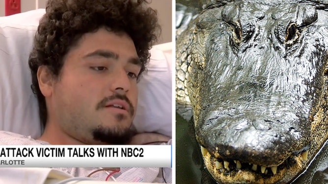 ea06e139-Alligator Found In Central Park