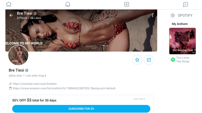 Bre Tiesi OnlyFans