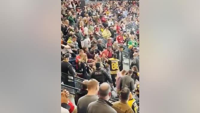 Bruins-Coyotes Wild Brawl