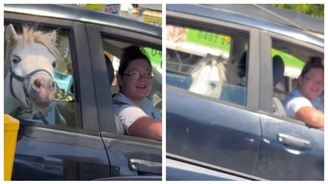 McDonald's Horse Drive-Thru