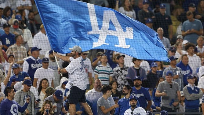Los Angeles Dodgers flag