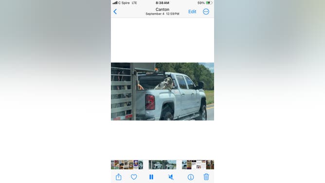 68949cc2-