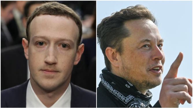 Elon Musk's trolling of Mark Zuckerberg has been taken to the next level. He challenged him to a
