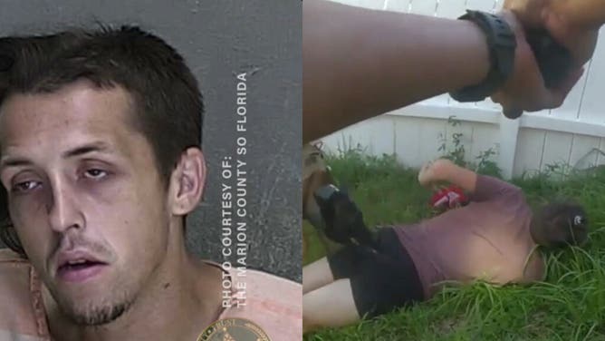 Florida man carjacker screams K9