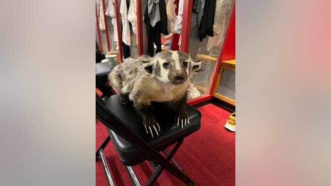 JJ Watt receives stuffed badger.