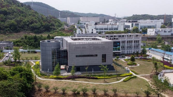 The start of COVID could have been a lab leak from the Wuhan Institute of Virology