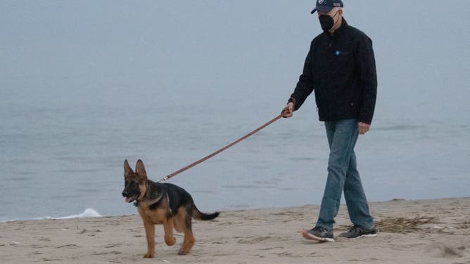 Joe Biden's Dog Commander Bites Yet Another Secret Service Agent