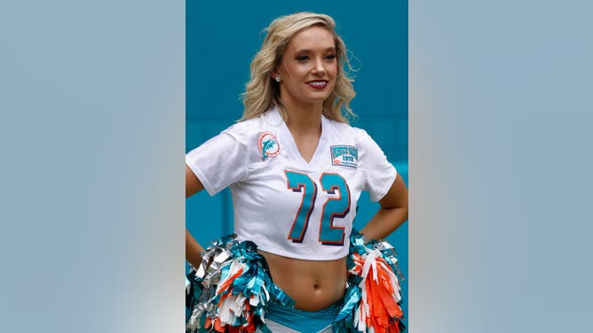 Dolphins celebrate the Perfect Season.