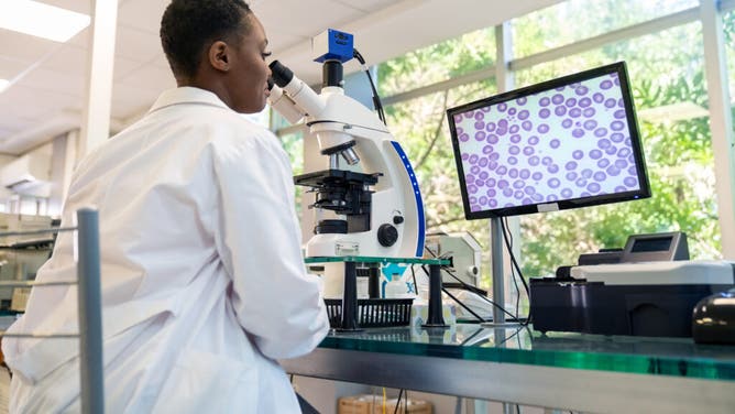 Scientists have found sperm counts have declined dramatically in new study