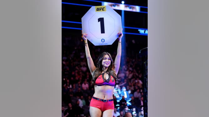 Arianny Celeste UFC Octagon Girl