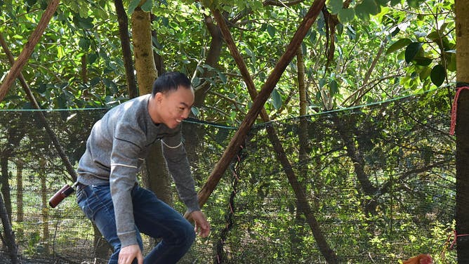 Chinese Man Goes To Prison For Scaring Neighbor's Chickens To Death