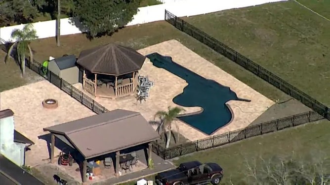 Gun pool Florida - 2