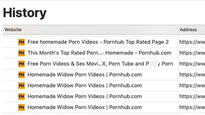 Hunter Biden porn searches laptop