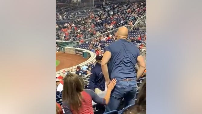 Fan punches usher at Nationals game.