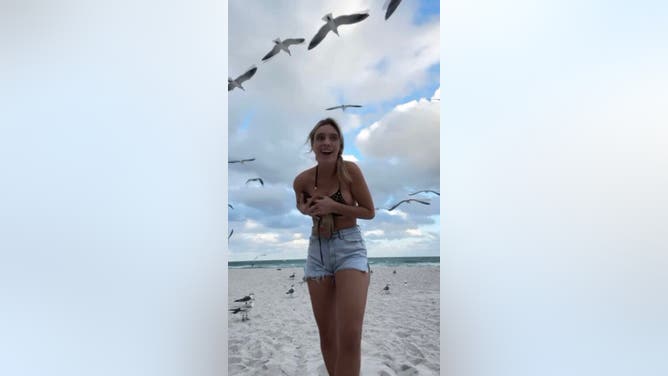 Lele Pons Seagull Bikini Top