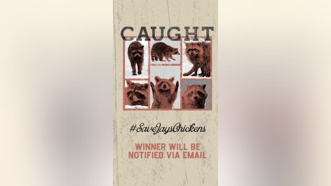 Jay Cutler chicken killer culprit