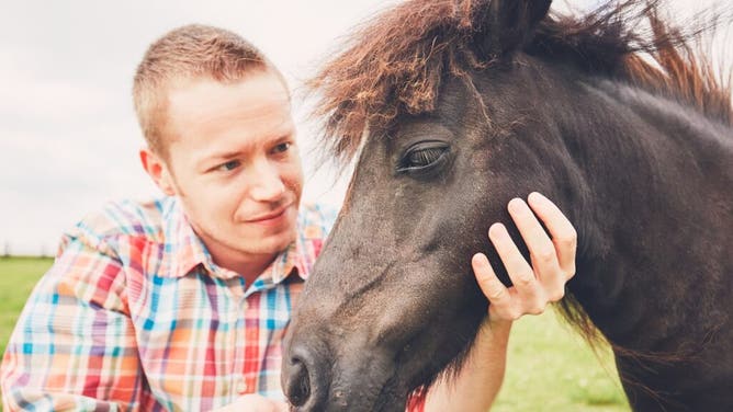 Man Tries To Hire Prostitute For Miniature Horse Threesome