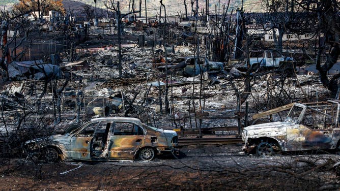 OnlyFans Model Sending Nudes To Those Who Donate Money To Help Victims Of The Maui Wildfires