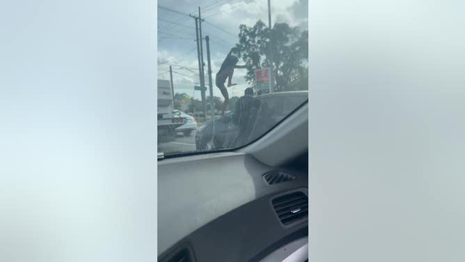 Road Rage Tampa Florida