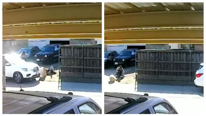 Texas Woman Settles Dispute Over Trash Cans By Hitting Her Neighbor With Her Vehicle