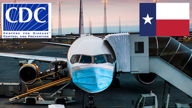 4805ca44-Airplane in a medical mask. Air Travel Crisis Concept