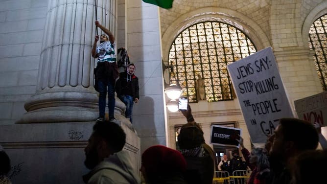 Palestine protestors