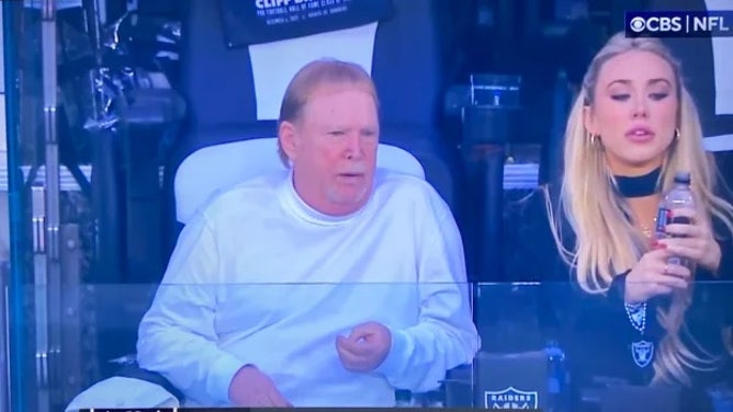 Cirque du Soleil performer Hayden Hopkins is the mystery blonde who was spotted in a suite with Raiders owner Mark Davis.