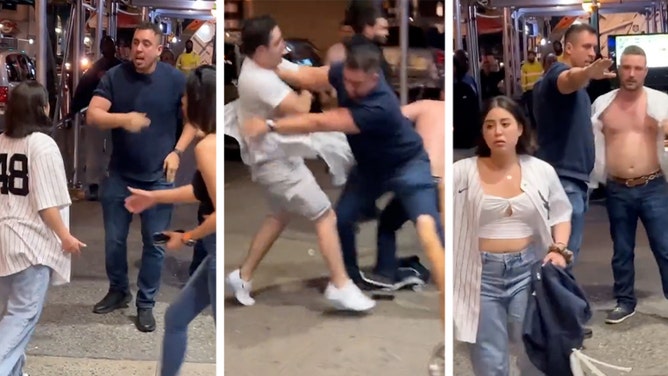 12773053-Yankees-fans-fighting