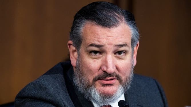 Senator Ted Cruz questioned Merrick Garland