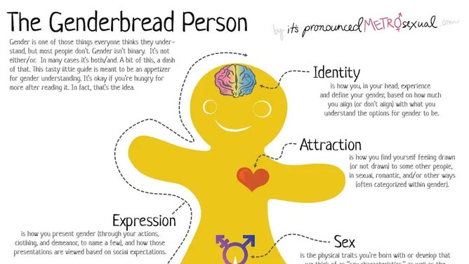 Woke California School District Includes 'Genderbread Identity' Man in Lessons
