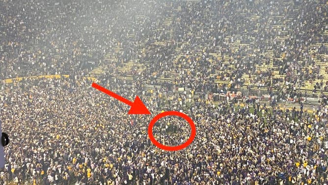 lsu-respect-the-tiger