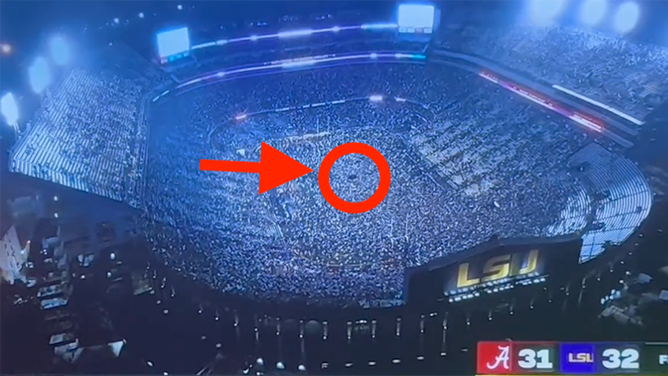 lsu-tiger-field-storm-tiger
