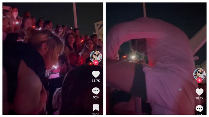 Taylor Swift fans fight.
