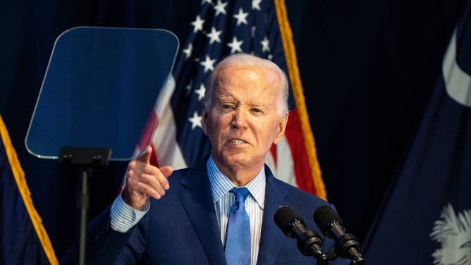 Joe Biden memory