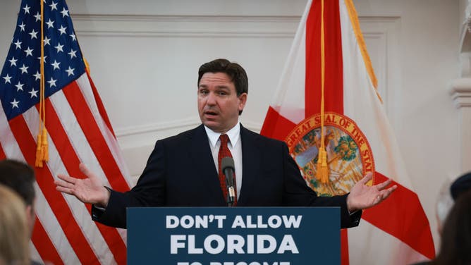 Ron DeSantis Disney