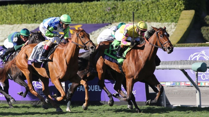 Hard To Justify with jockey Flavien Prat wins the Breeders' Cup Juvenile Fillies on Turf at Santa Anita Park in Arcadia, California. (Horsephotos/Getty Images)