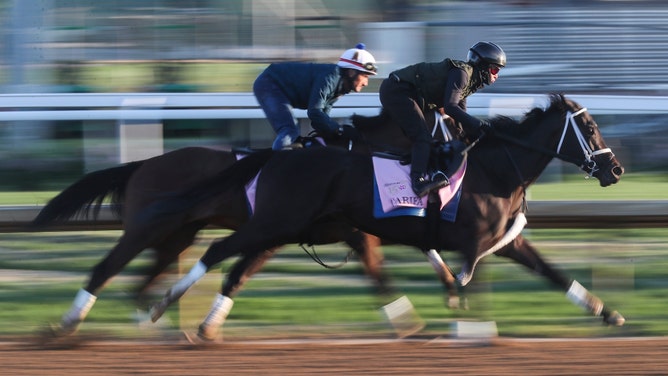 Kentucky Oaks 2024 contenders Tarifa and since-scratched Gin Gin workout at Churchill Downs in Louisville. (Matt Stone/The Courier Journal/USA TODAY NETWORK)