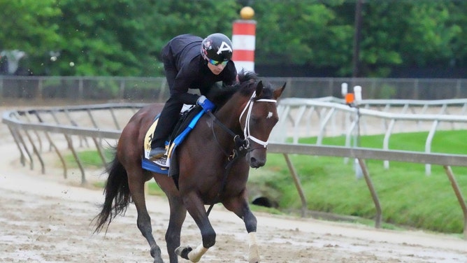 Catching Freedom trains for the second leg of the 2024 Triple Crown at Pimlico Race Course in Baltimore, Maryland.(Mitch Stringer-USA TODAY Sports)