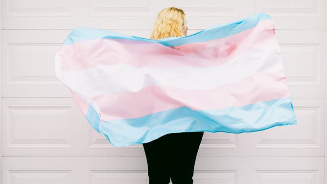 Transgender person from behind, wearing pink and white striped sweatshirt, holds transgender flag