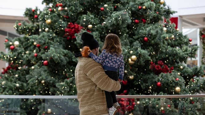 mall parking lot brawl with baby in stroller