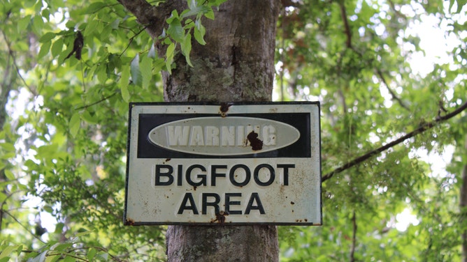 teenagers shooting fireworks spot bigfoot in Wisconsin