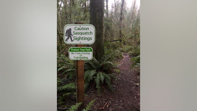 Oklahoma family spotted a Bigfoot