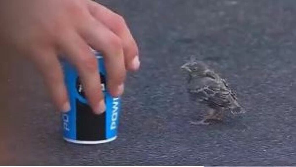 87fe68f9-78FA6312-5B6E-431D-B2D4-4D4DF4DDD1A5